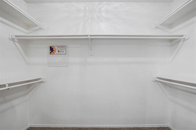 Building Photo - 4509 High Cotton Tr