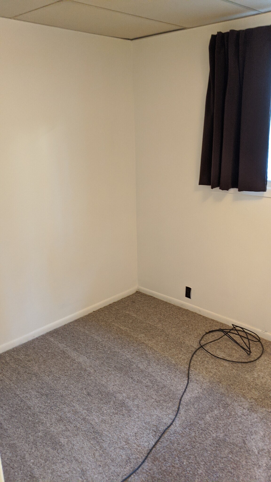 Building Photo - 904 Vine St