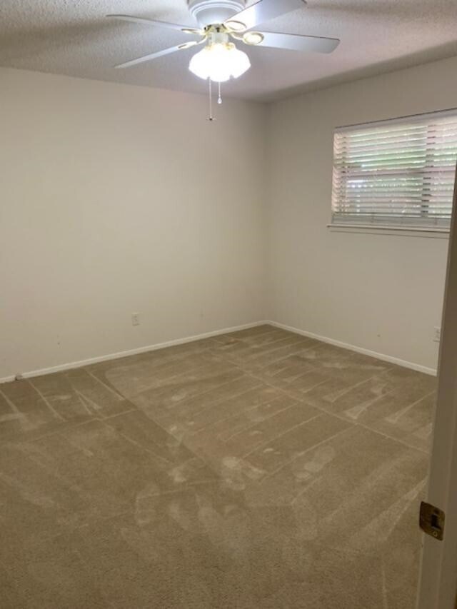 Building Photo - 3314 81st St