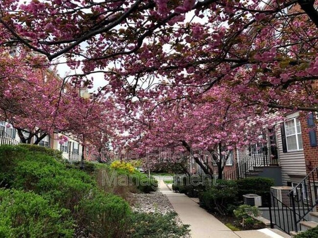 Building Photo - Society Hill Triple - Master Suite