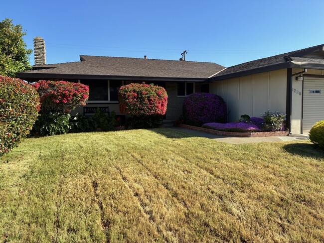 Building Photo - 3236 Rosemont Dr