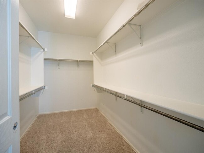 Building Photo - 572 Big Meadow Rd