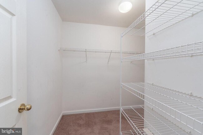 Building Photo - 8005 Silver Fox Dr