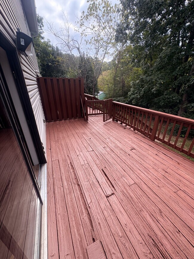 Building Photo - 37 Agappa Ln