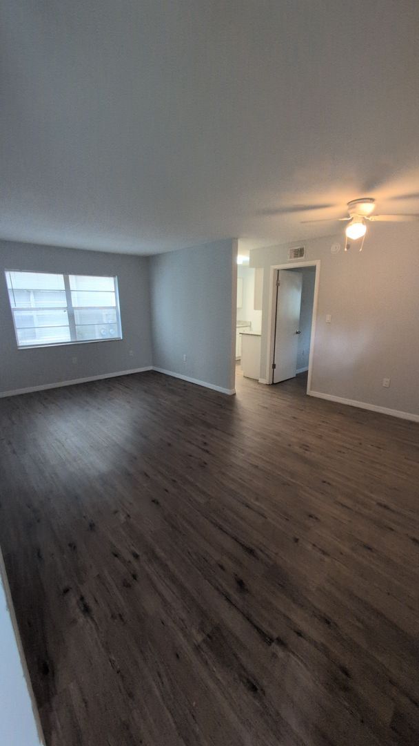 Building Photo - Renovated one bedroom with dog area heart of Tampa near veterans hospital and USF