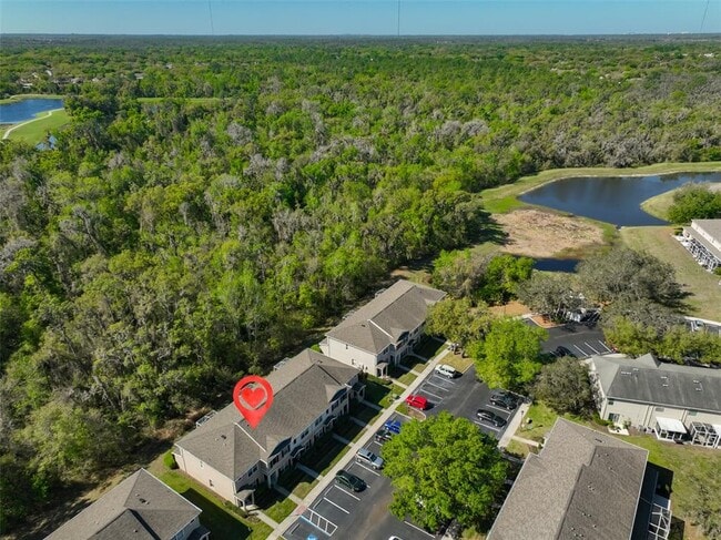 Building Photo - 15843 Fishhawk View Dr