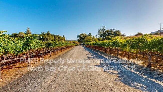 Building Photo - 4939 Dry Creek Rd
