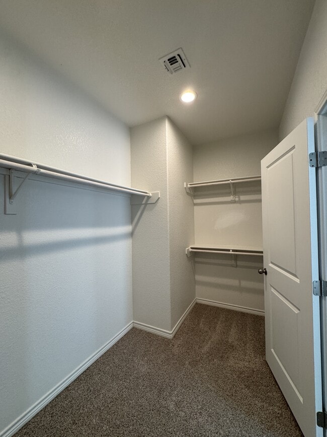 Building Photo - 8142 Luz de Luna St