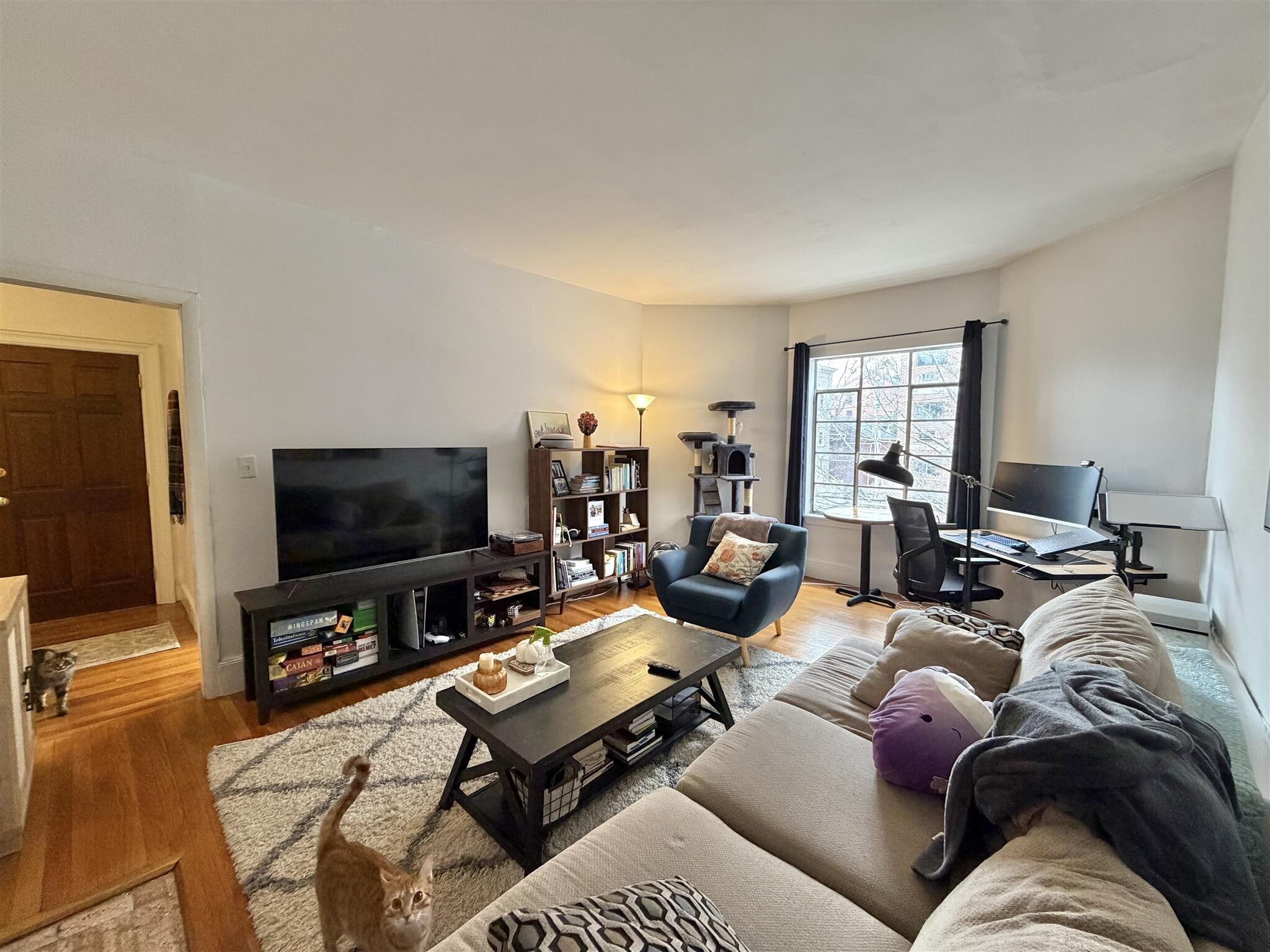 Building Photo - 21 Ellery St