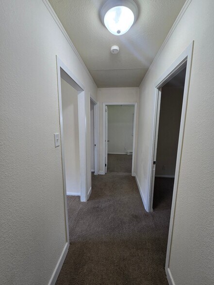 Building Photo - 1025 Bradley Ln