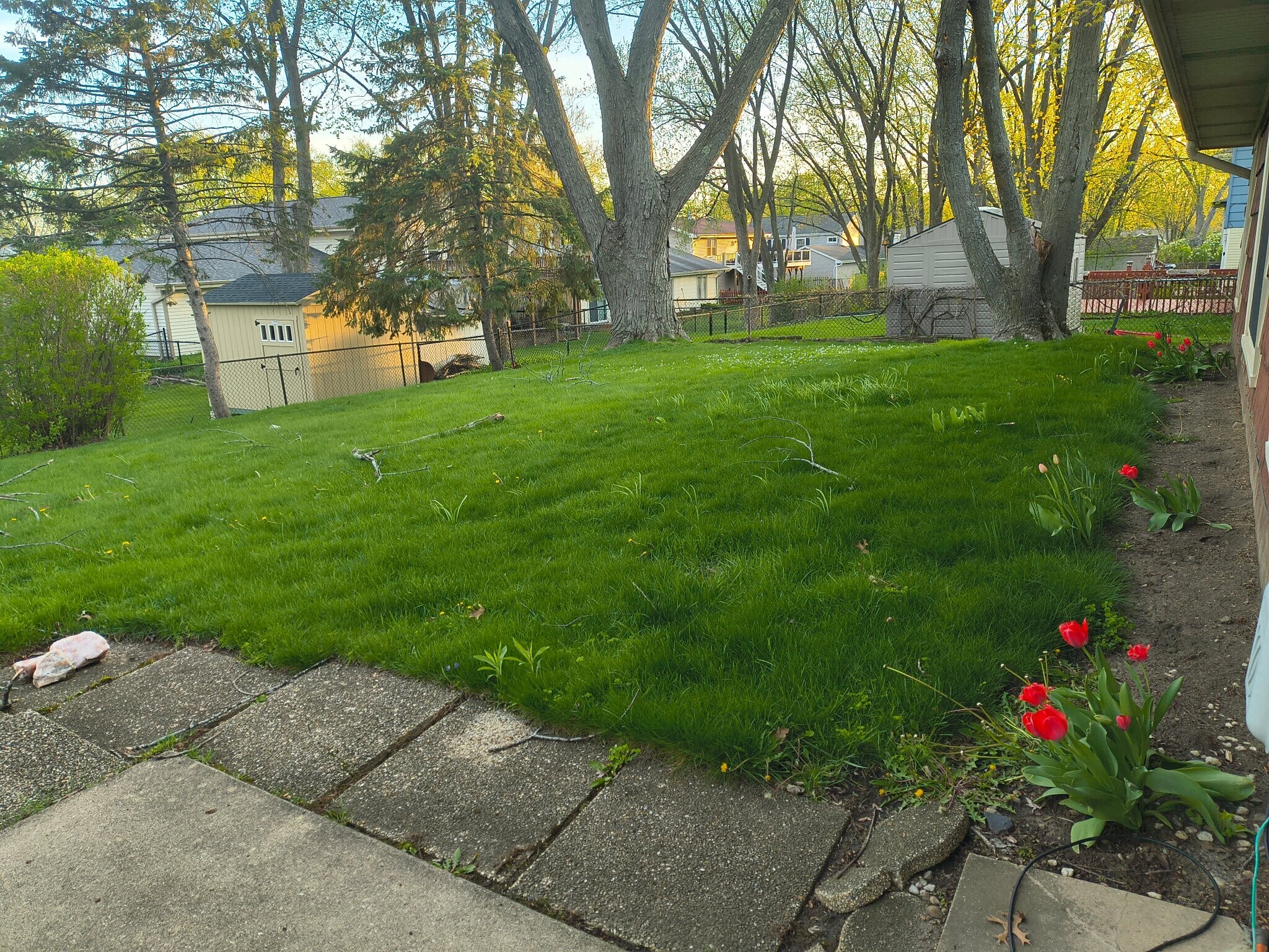 Building Photo - 1355 Blair Ln