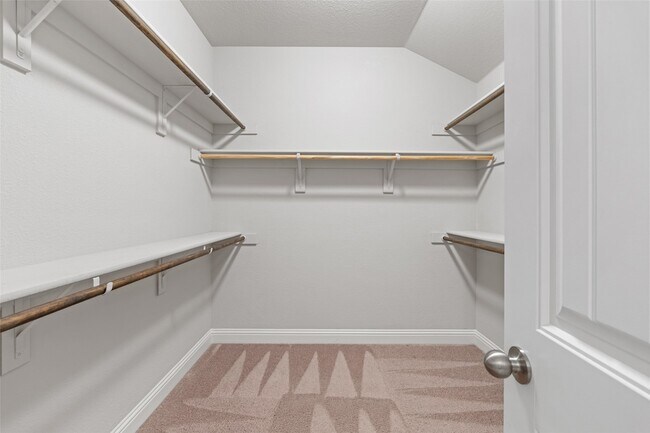 Building Photo - 3733 Cecelia Ln