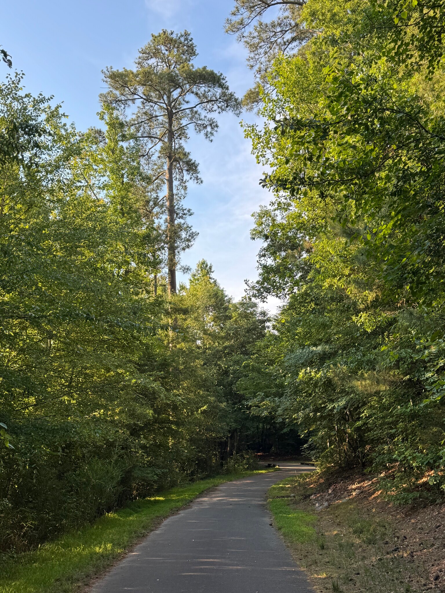 Building Photo - 2540 Blackwolf Run Ln