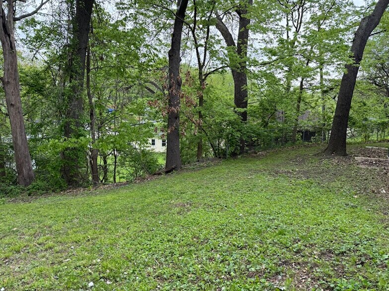 Wooded backyard - 1527 Fulton Ct