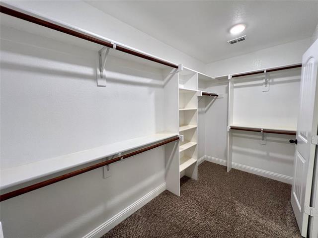 Building Photo - 4010 Bridle Path Ln