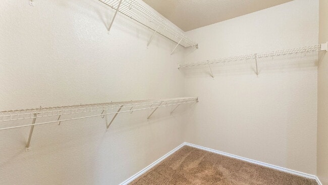 Building Photo - 7538 Elegante Way