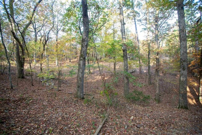 Building Photo - 14 Echo Point