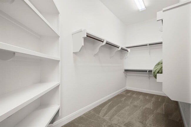 Building Photo - 5916 Davenport Divide Rd