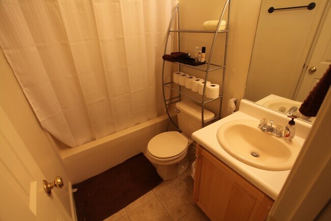 Building Photo - 3B/3B Duplex On Tiger Transit Available August 2026!