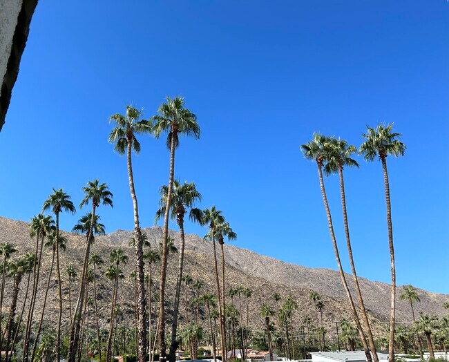 Building Photo - 1900 S Palm Canyon Dr