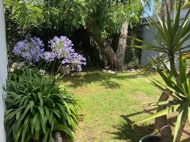 back yard - 4020 Tivoli Ave