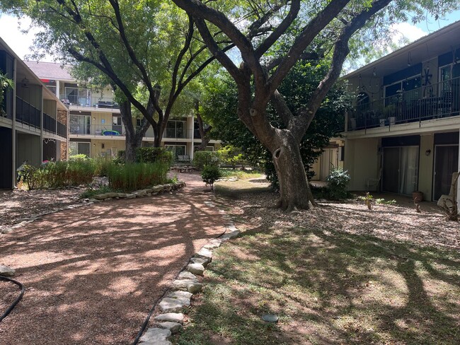 Building Photo - Gorgeous Condo nestled right on Lady Bird ...