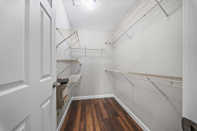 Building Photo - 157 Feathertip Ln