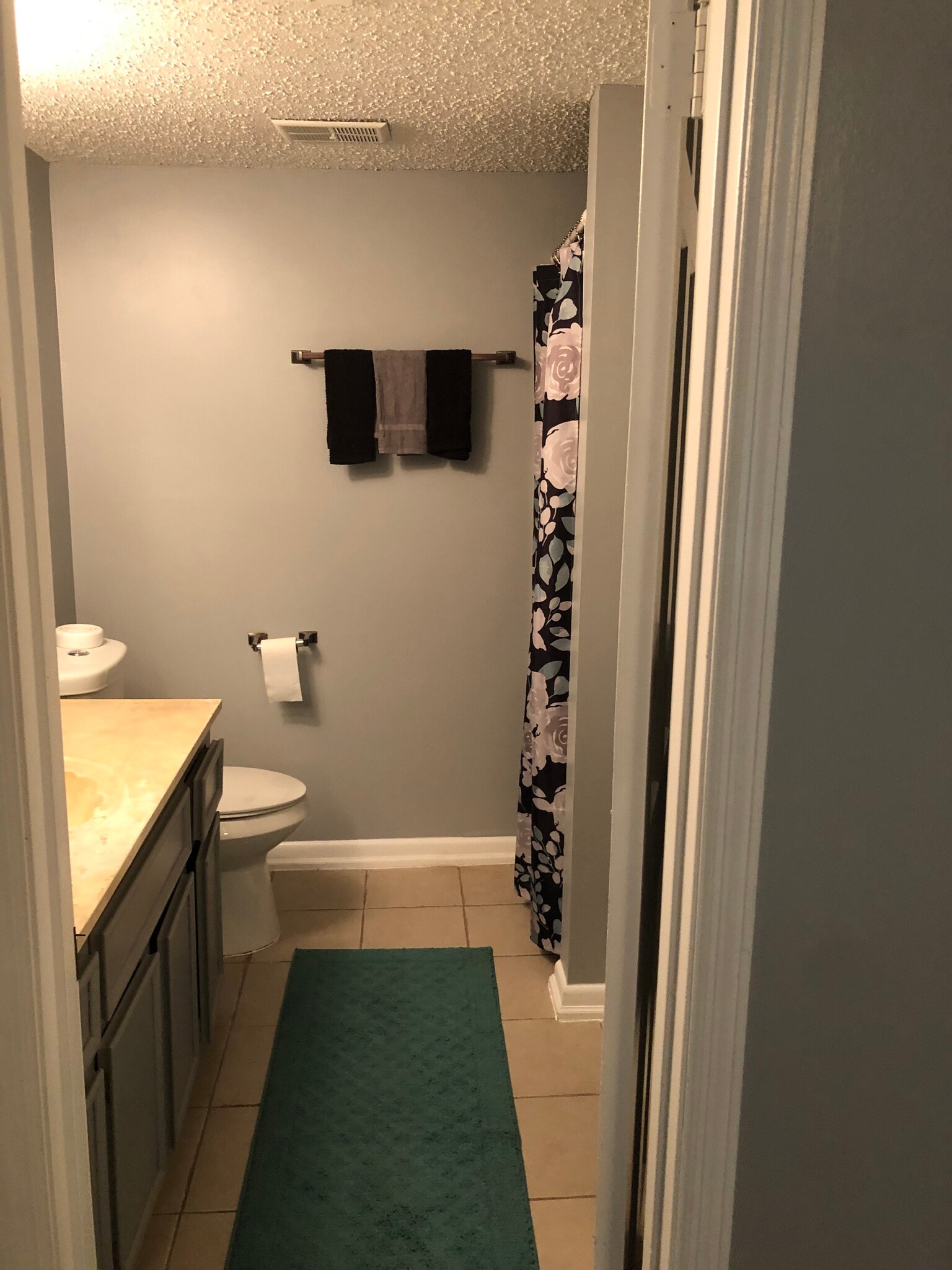 Bathroom in Master Bedroom - 911 Camelot Dr