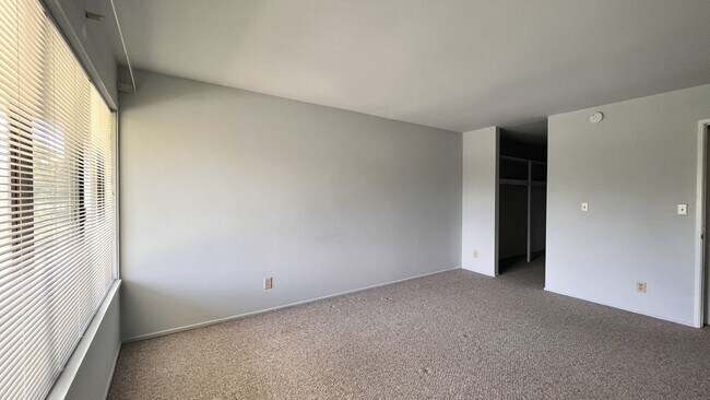 Large Bedroom with ensuite walk-in closet - 2102 Pauline Blvd