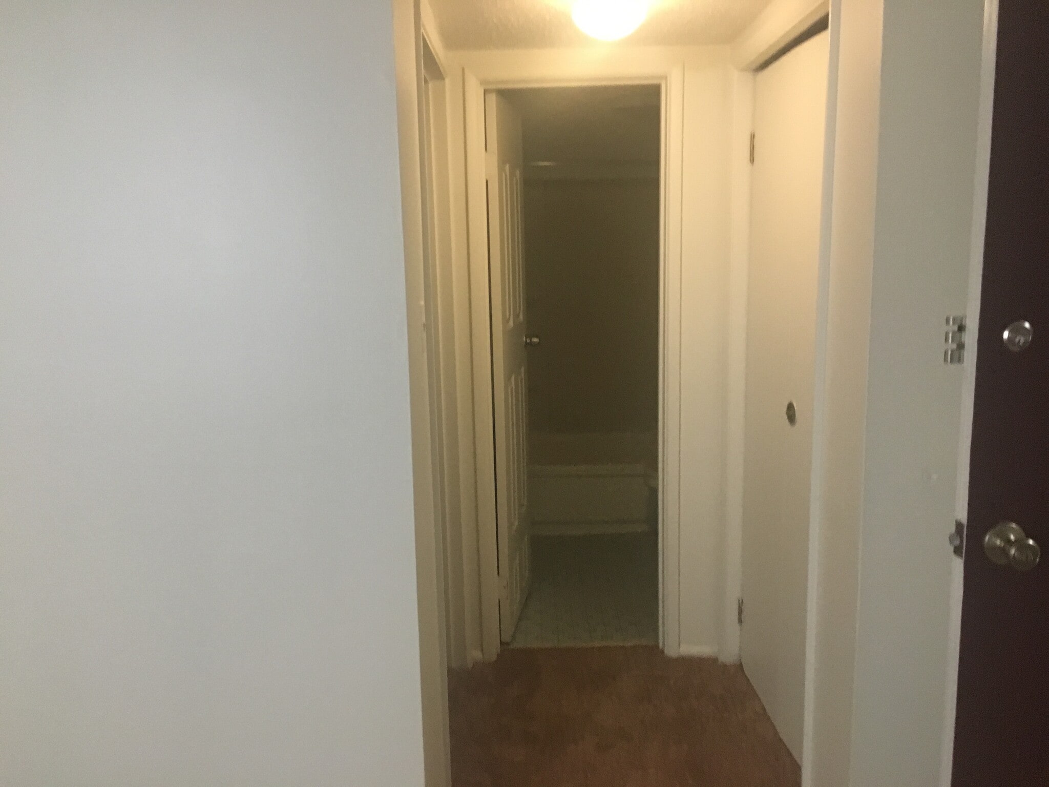 hall way - 1800 Metzerott Rd