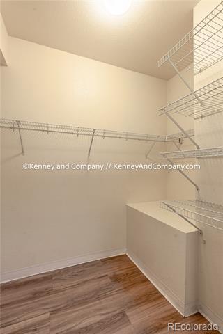 Building Photo - 2141 Legacy Ridge View