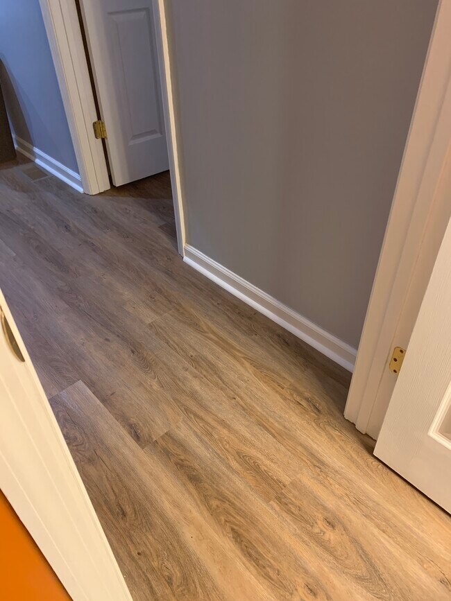 Wood floors - 247 Lakeview Ln