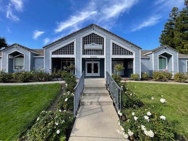 Building Photo - Wonderful 3 Bedroom with 2 Bath Downstairs Unit.