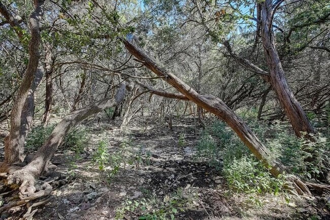 Building Photo - 4711 Spicewood Springs Rd