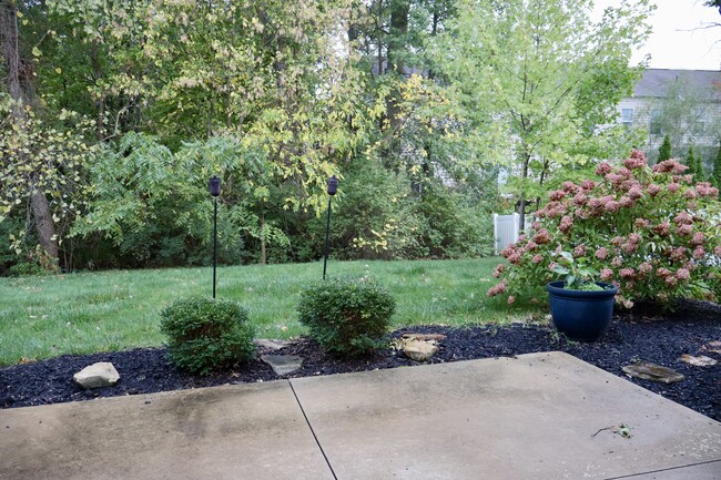 PRIVATE WOODED BACKYARD - 6215 Prairiefire Ave