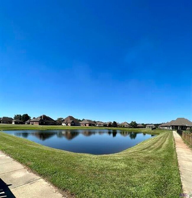 Building Photo - Beautifully Furnished 4-Bedroom Home in Zachary's Audubon Lakes!