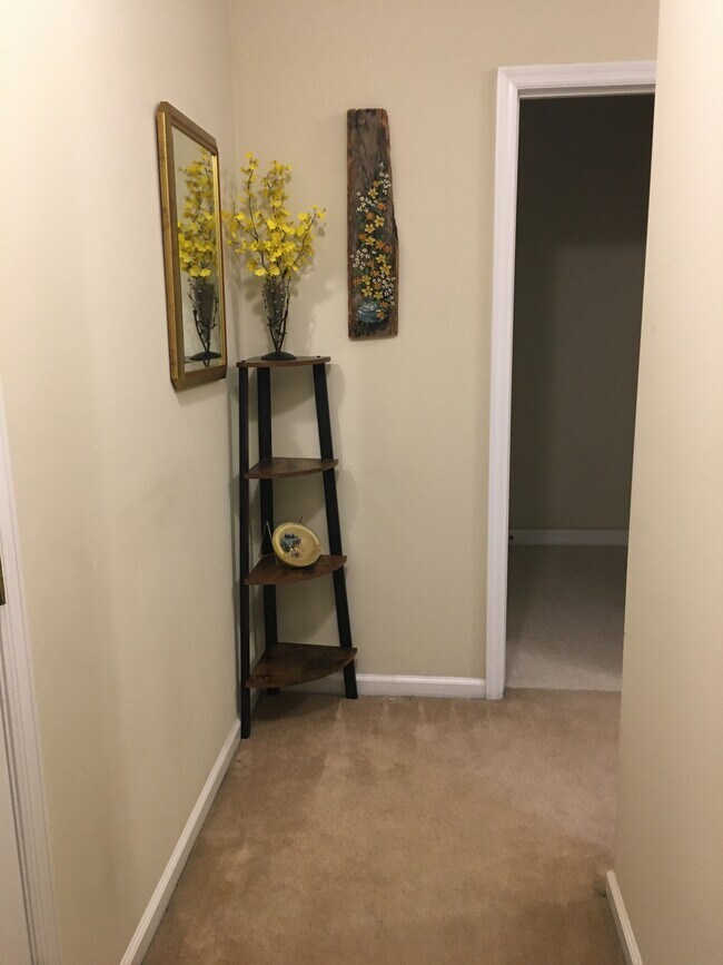 hallway from living room to bdrms - 1243 Carriage Dr