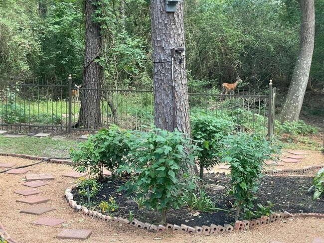 Building Photo - 93 N Acacia Park Cir