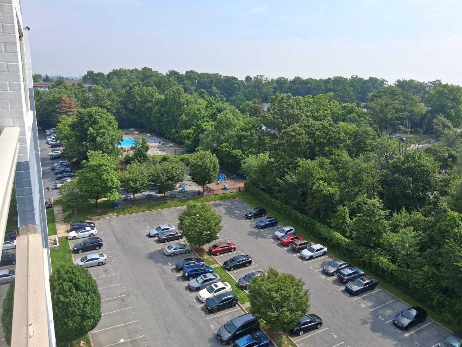 View from Patio - 7333 New Hampshire Ave