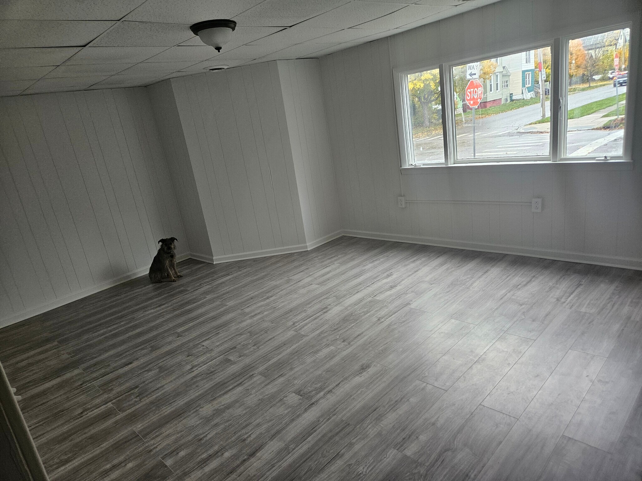 Building Photo - 738 Prospect Ave