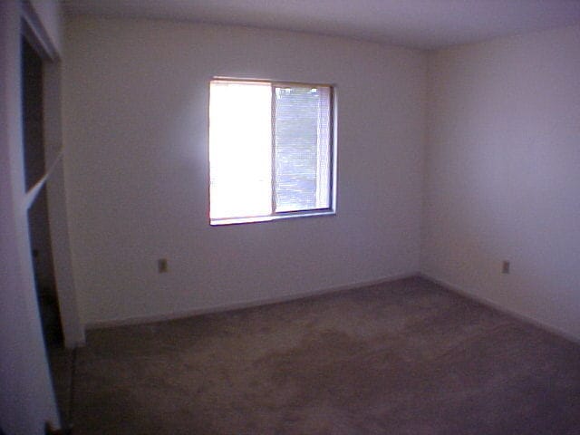 Building Photo - 3 Bedroom 2 Bathroom Condo at Palomar Plac...