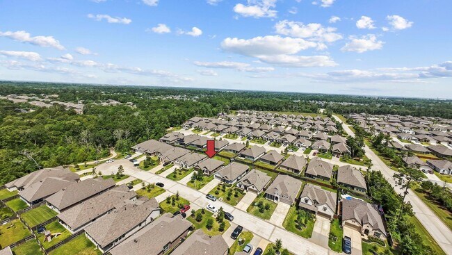 Building Photo - 3221 Climbing Gardens Ct