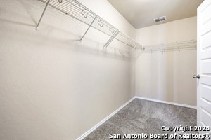 Building Photo - 10919 Dewlap Trail