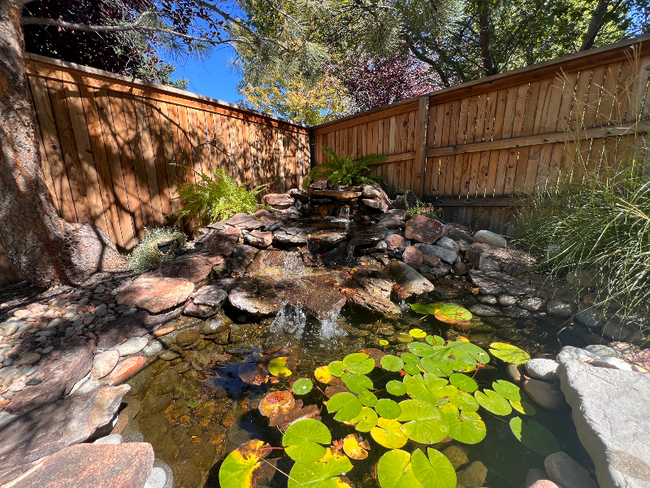 Building Photo - 3733 Charterwood Dr