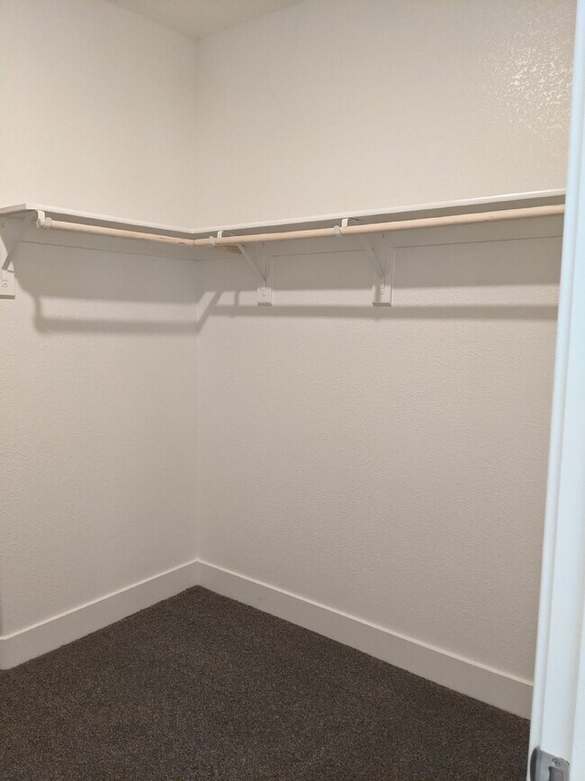 Building Photo - 2473 Pineda Dr