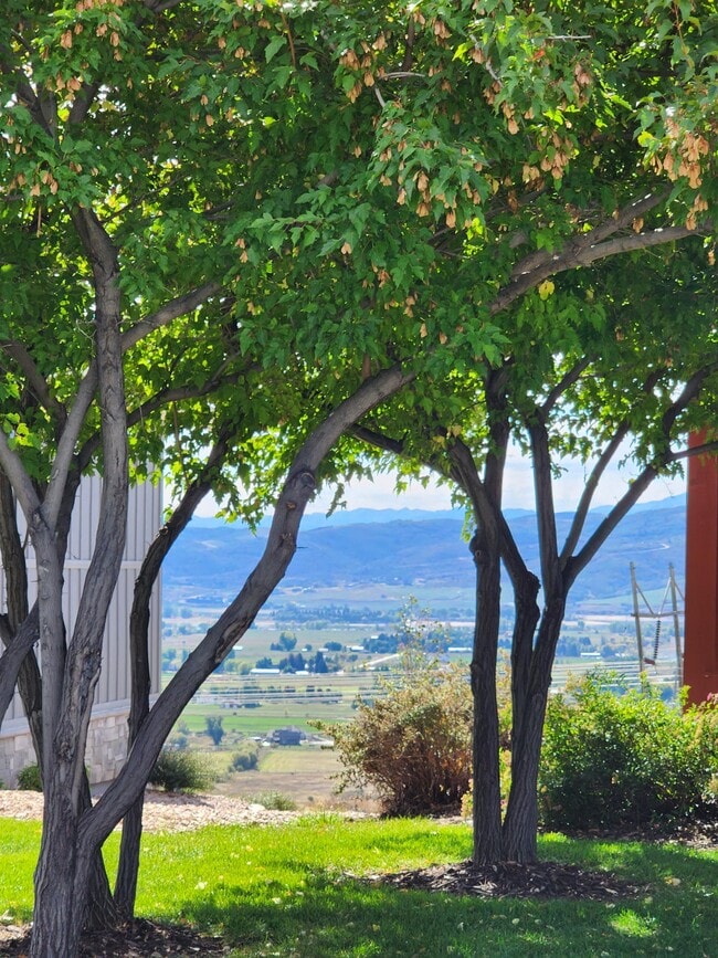 Building Photo - 5979 E Big Horn Pkwy