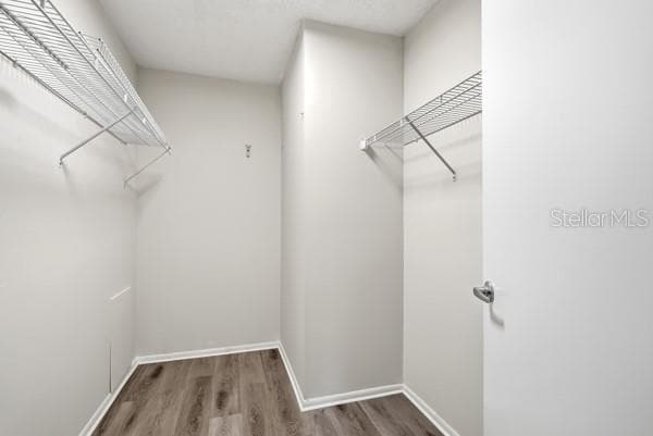 Building Photo - 1717 Belleair Forest Dr