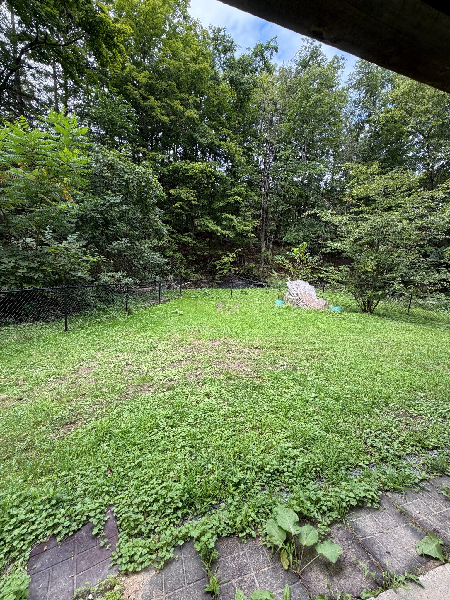 Back yard - 976 Hudson River Rd
