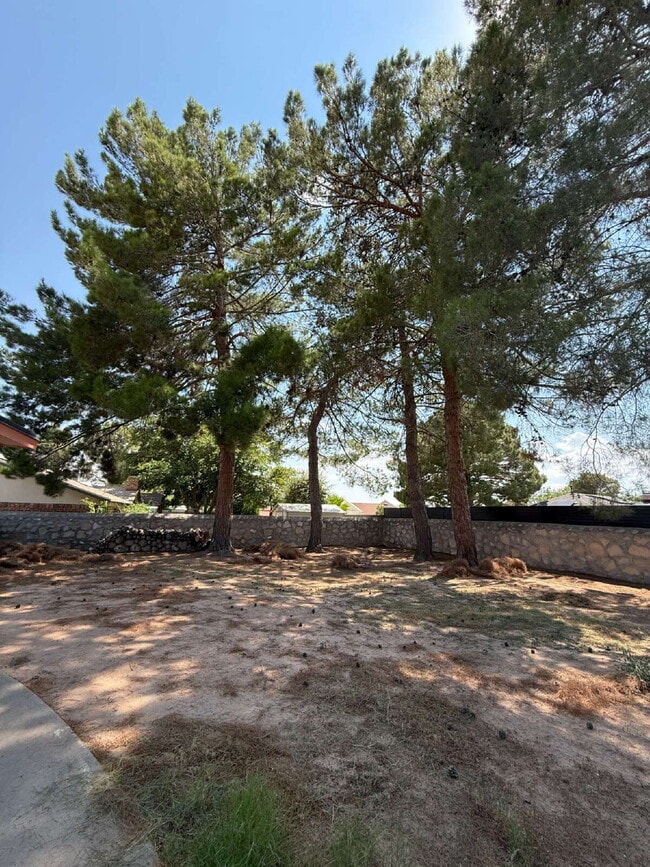 Building Photo - 1709 Bruce Devlin Dr