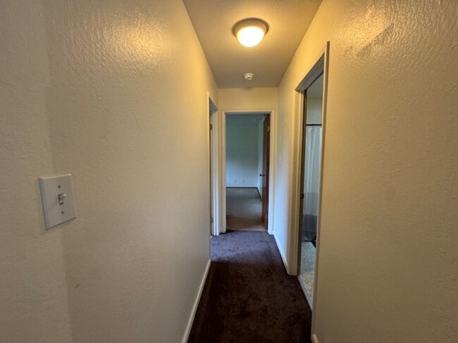 Building Photo - Two bedroom country charmer close to Occidental $2800.00